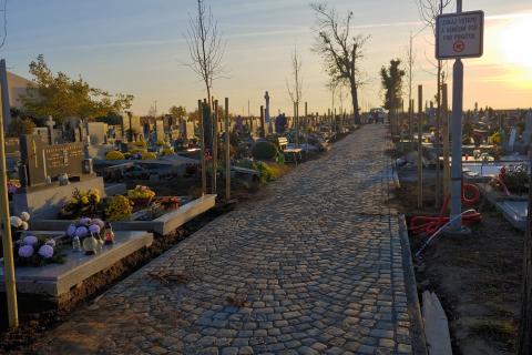 Ilustrační obrázek k prjektu Obnova lipové aleje na hřbitově