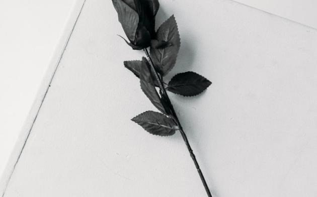 Smuteční oznámení